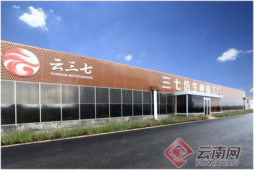 以“链”为翼，科技赋能 云南康旅集团助推三七产业高质量发展