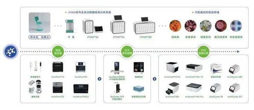 创新突破载誉而归 昌发展生态企业以卓越成果喜迎新春